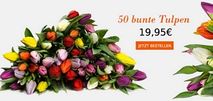 Blume Ideal: 50 bunte Tulpen für 24,90 Euro inkl. Versand