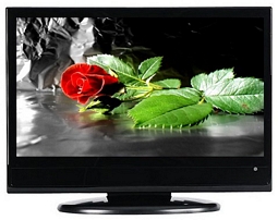 Ebay-WOW: 16 Zoll LCD-TV mit DVD/Mediaplayer (NoName)