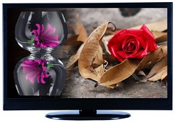 22″ LCD-TV mit DVB-T-Tuner und DVD-Player