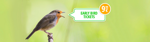 Flixbus Early Bird Tickets – ab 9,99 Euro quer durch Europa
