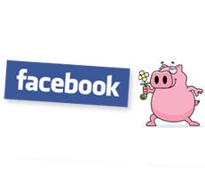 Gewinnspiel: geizschwein-Facebook Fan werden und gewinnen