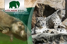 Groupon: Gutschein für 2 Tagestickets für den Kölner Zoo im Wert von 35 Euro für 17,50 Euro