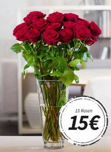 Miflora: 15 Red Naomi Rosen – Rote Premium-Rosen für eine gelungene Überraschung für 9,90 Euro zzgl. 5,90 Euro Versand