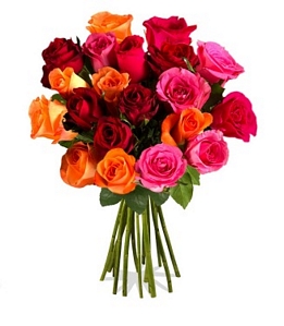 Miflora: Blumenarrangement PIA mit 20 bunten Rosen