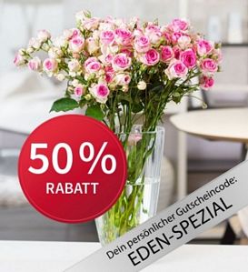 Miflora: 10 Mini Eden Rosen Rosa für 12,45 Euro zzgl. Versand