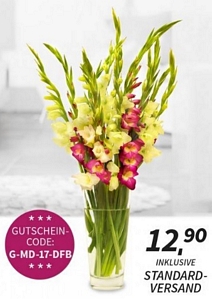 Miflora: Blumenstrauß Gladiolentraum für 12,90 Euro statt 24 Euro + Gewinnspiel für Fußballtrikot