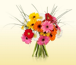 Blumenarrangement Happy Colors mit 20 bunten Germini für 14,90 Euro