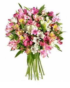 Miflora: Blumenstrauss Pink Fifties