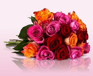 Miflora: Blumenarrangement Clara mit Rosenrallye (bis zu 30 bunte Rosen)