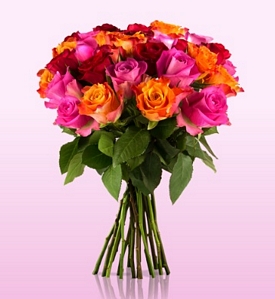 Miflora: Blumenarrangement Sophia mit 20 bunten Rosen für 18,90 Euro mit Rosenrallye (bis zu 30 Rosen)