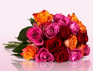 Miflora: Blumenarrangement Shiny Rainbow mit 28 bunten Rosen für 18,90 Euro