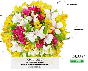 Blumenarrangement Sonneninsel für 11,90 Euro inkl. Versand
