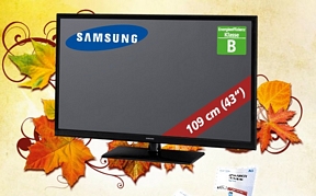 Samsung PS43F4500 43 Zoll Plasma-TV für Einsteiger