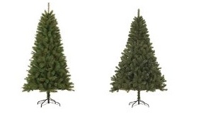 Amazon: Black Box Weihnachtsbäume ab 7,04 Euro