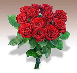 Valentins: 12 rote Rosen für nur 12,99 Euro zzgl. 4,99 Euro Versand