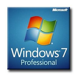 Windows 7 Professional 64 Bit (Recovery)