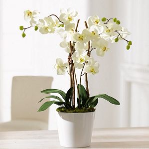 Kunstpflanze Orchideentopf Elegance Kunstblume