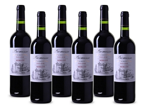 6 Flaschen Promesse Merlot Pays d, Oc Rotwein Frankreich Südfrankreich 2015