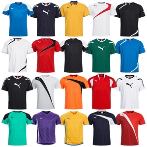 PUMA Herren Trikot Fussball Sport Teamwear Shirt