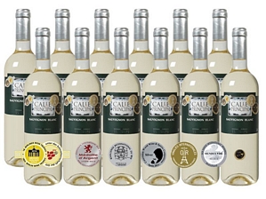 12er-Paket Bodegas Vinedos Contralto – Calle Principal Sauvignon Blanc