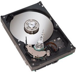 Ebay-WOW: Diverse Festplatten 250GB 3,5 Zoll