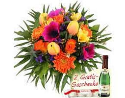 Blumenfee Blumenstrauß Frühlings-Faszination + 2 Gratisgeschenke