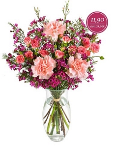 Miflora: Blumenstrauß Fortuna mit Rosa Nelken