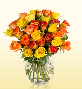 Miflora: Blumenarrangement Autumn Colors mit 30 Rosen