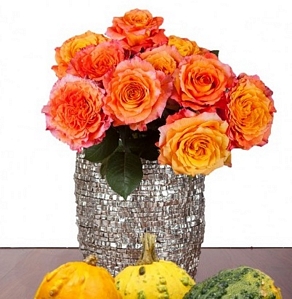 Miflora Herbstpaket: Goldige Zeiten vor dem ersten Frost mit Free Spirit Rosen und Zierkürbissen für 14,90 Euro statt 35,90 Euro