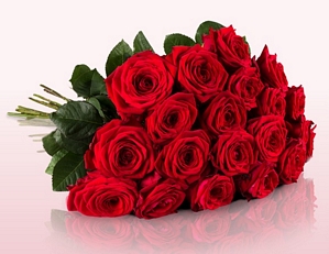 Miflora: Blumenstrauss Nora mit 20 Naomi Rosen