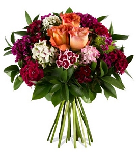 Miflora: Blumenstrauß Lara mit bunten Bartnelken