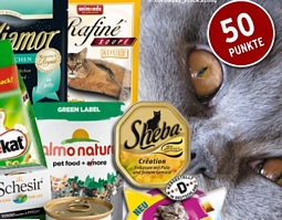 Payback Deals: Gutschein für Hundeland.de oder Katzenland.de im Wert von 30 Euro für 14,95 Euro