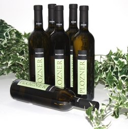 6 Flaschen Plozner Sauvignon DOC Friuli Grave 2006