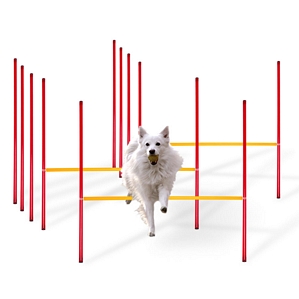 Agility Set Hunde Training Hundesport Hürden Slalom Stangen Rot Gelb LAS001