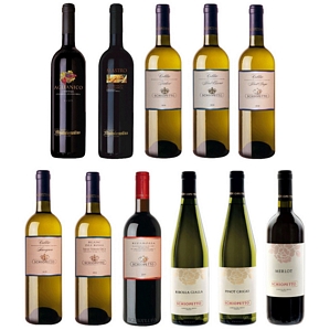 6 Flaschen italienischer Gourmet Weisswein Rotwein DOC – Schiopetto