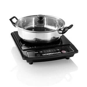 Princess Induktionsplatte + Induktionspfanne + Glasdeckel 1800 Watt