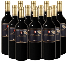 12er-Paket Bodegas y Viñedos Casa del Valle Acantus Cuvée